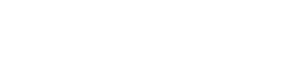 AWMN